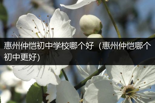 惠州仲恺初中学校哪个好（惠州仲恺哪个初中更好）