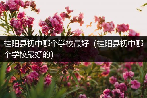 桂阳县初中哪个学校最好（桂阳县初中哪个学校最好的）