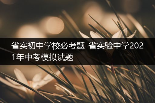 省实初中学校必考题-省实验中学2021年中考模拟试题