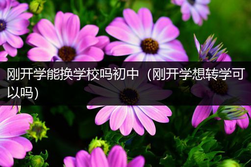 刚开学能换学校吗初中（刚开学想转学可以吗）