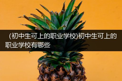 （初中生可上的职业学校)初中生可上的职业学校有哪些