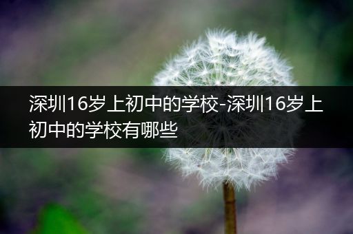 深圳16岁上初中的学校-深圳16岁上初中的学校有哪些