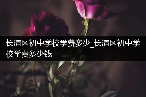 长清区初中学校学费多少_长清区初中学校学费多少钱