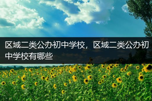 区域二类公办初中学校，区域二类公办初中学校有哪些