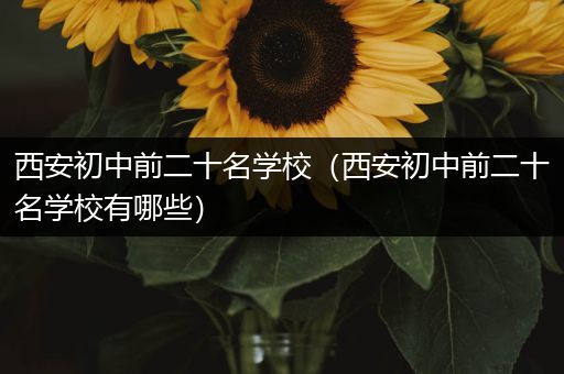 西安初中前二十名学校（西安初中前二十名学校有哪些）