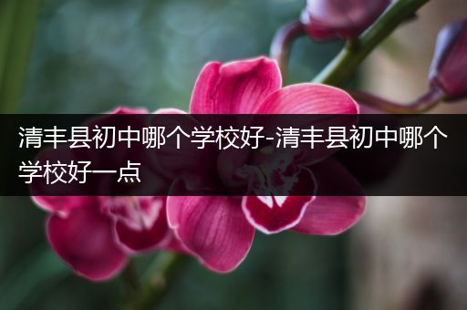 清丰县初中哪个学校好-清丰县初中哪个学校好一点