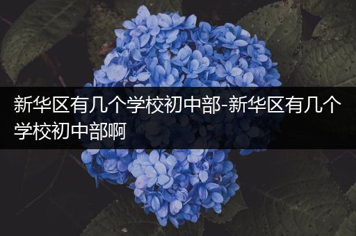 新华区有几个学校初中部-新华区有几个学校初中部啊