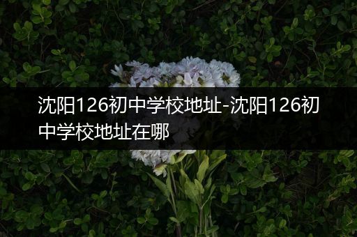 沈阳126初中学校地址-沈阳126初中学校地址在哪