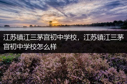 江苏镇江三茅宫初中学校，江苏镇江三茅宫初中学校怎么样