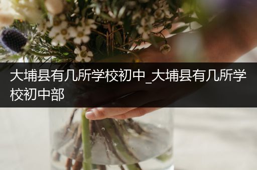 大埔县有几所学校初中_大埔县有几所学校初中部