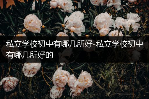 私立学校初中有哪几所好-私立学校初中有哪几所好的