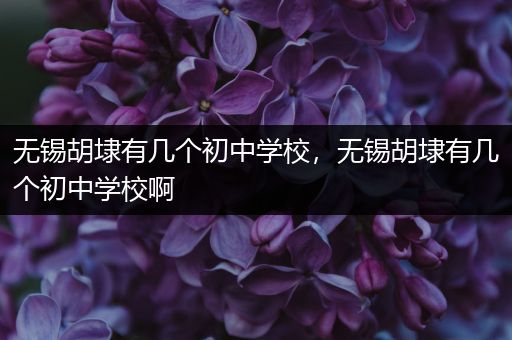 无锡胡埭有几个初中学校，无锡胡埭有几个初中学校啊