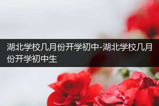 湖北学校几月份开学初中-湖北学校几月份开学初中生