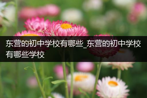 东营的初中学校有哪些_东营的初中学校有哪些学校