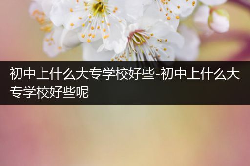 初中上什么大专学校好些-初中上什么大专学校好些呢