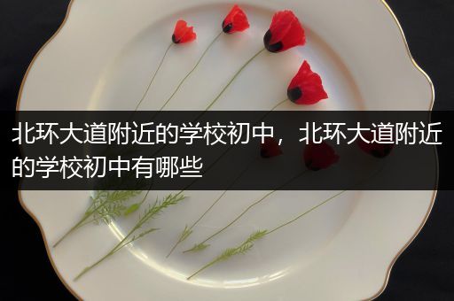 北环大道附近的学校初中，北环大道附近的学校初中有哪些