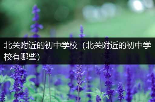 北关附近的初中学校（北关附近的初中学校有哪些）