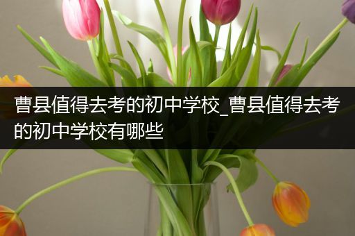 曹县值得去考的初中学校_曹县值得去考的初中学校有哪些