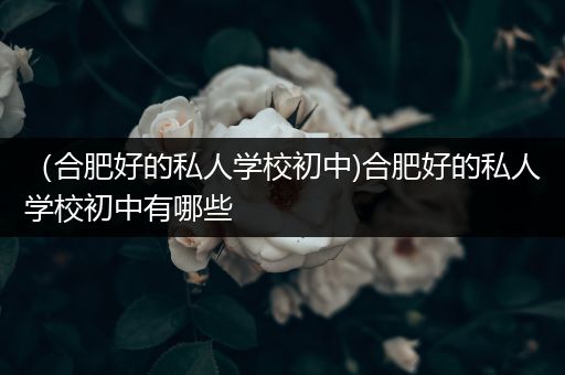 （合肥好的私人学校初中)合肥好的私人学校初中有哪些