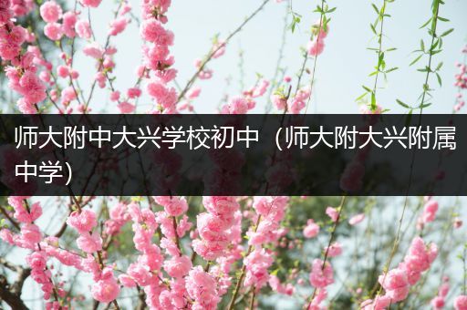 师大附中大兴学校初中（师大附大兴附属中学）