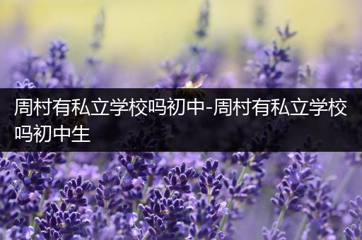 周村有私立学校吗初中-周村有私立学校吗初中生