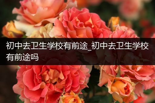 初中去卫生学校有前途_初中去卫生学校有前途吗