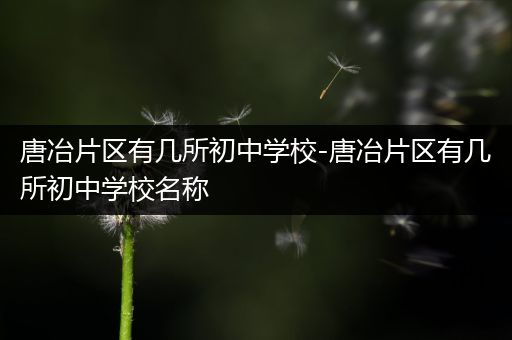 唐冶片区有几所初中学校-唐冶片区有几所初中学校名称