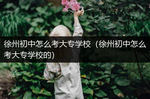 徐州初中怎么考大专学校（徐州初中怎么考大专学校的）