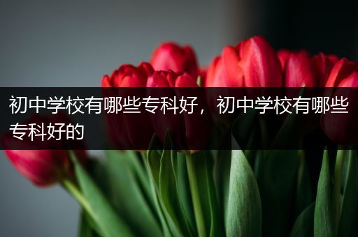 初中学校有哪些专科好，初中学校有哪些专科好的