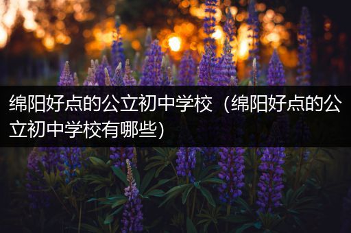 绵阳好点的公立初中学校（绵阳好点的公立初中学校有哪些）