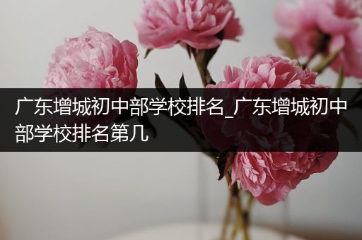 广东增城初中部学校排名_广东增城初中部学校排名第几