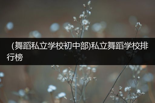 （舞蹈私立学校初中部)私立舞蹈学校排行榜