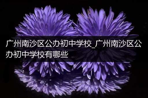 广州南沙区公办初中学校_广州南沙区公办初中学校有哪些