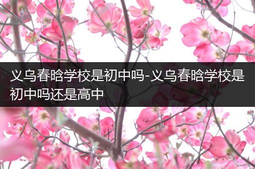 义乌春晗学校是初中吗-义乌春晗学校是初中吗还是高中