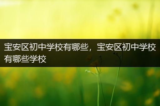 宝安区初中学校有哪些，宝安区初中学校有哪些学校