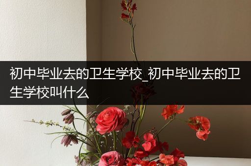 初中毕业去的卫生学校_初中毕业去的卫生学校叫什么