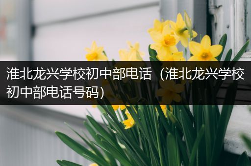 淮北龙兴学校初中部电话（淮北龙兴学校初中部电话号码）