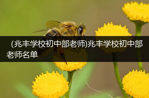 （兆丰学校初中部老师)兆丰学校初中部老师名单