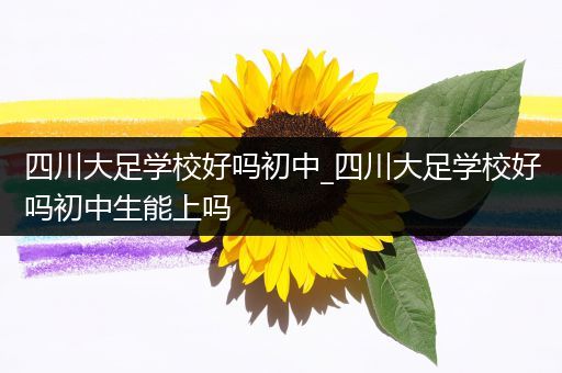 四川大足学校好吗初中_四川大足学校好吗初中生能上吗