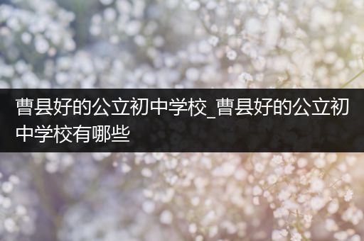 曹县好的公立初中学校_曹县好的公立初中学校有哪些