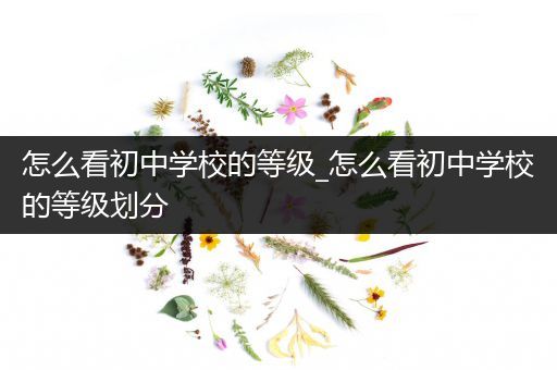 怎么看初中学校的等级_怎么看初中学校的等级划分