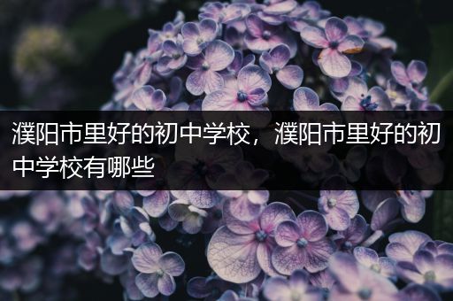 濮阳市里好的初中学校，濮阳市里好的初中学校有哪些