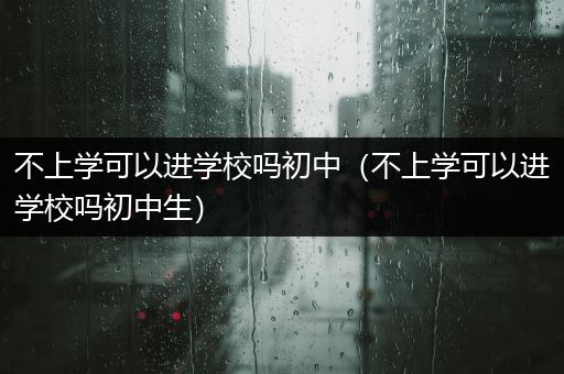 不上学可以进学校吗初中（不上学可以进学校吗初中生）