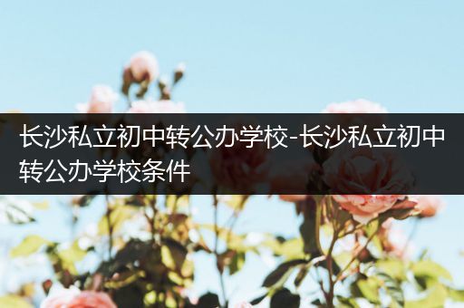 长沙私立初中转公办学校-长沙私立初中转公办学校条件