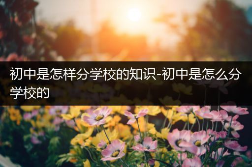 初中是怎样分学校的知识-初中是怎么分学校的