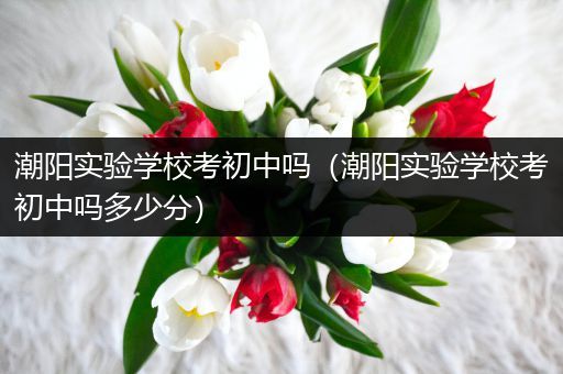 潮阳实验学校考初中吗（潮阳实验学校考初中吗多少分）