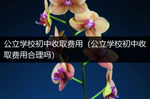 公立学校初中收取费用（公立学校初中收取费用合理吗）