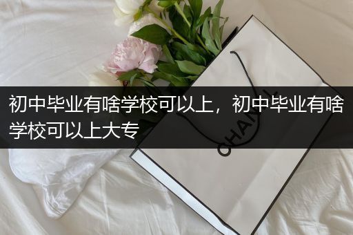 初中毕业有啥学校可以上，初中毕业有啥学校可以上大专