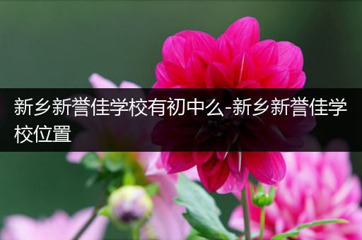 新乡新誉佳学校有初中么-新乡新誉佳学校位置