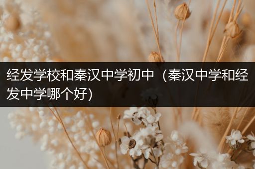 经发学校和秦汉中学初中（秦汉中学和经发中学哪个好）